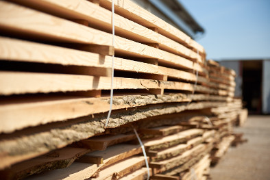 Holzfeuchte Dielen Trocknen