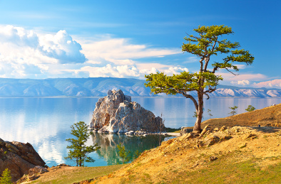 Sibirische Lärche am Baikalsee